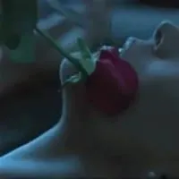 Santo-André massagem erótica